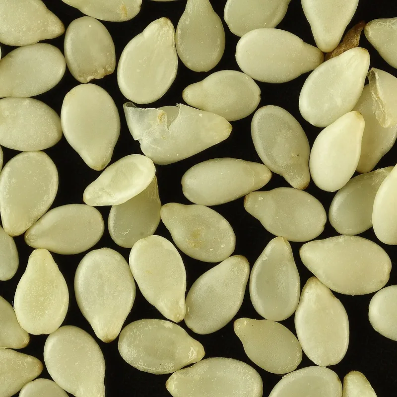 Sesame Seeds (Ajonjolí)