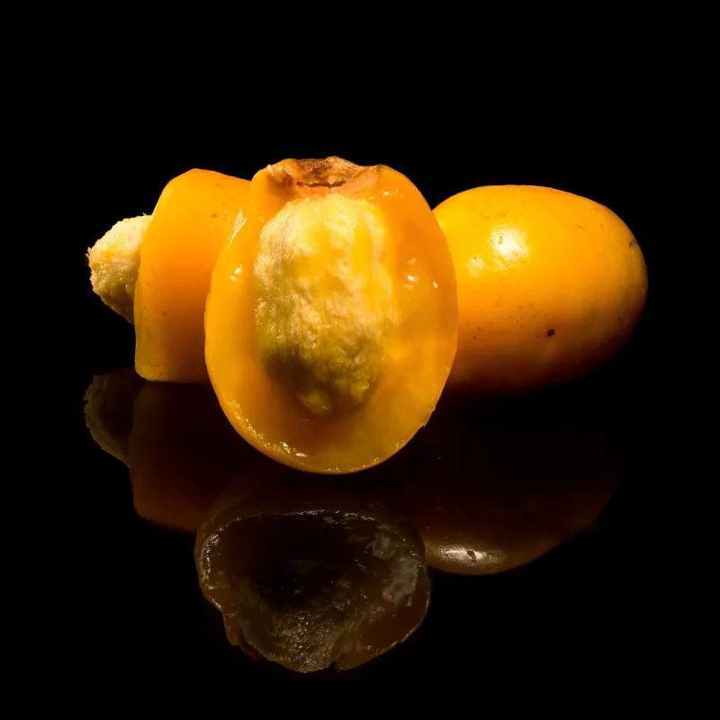 Jocotes in Syrup (Jar)