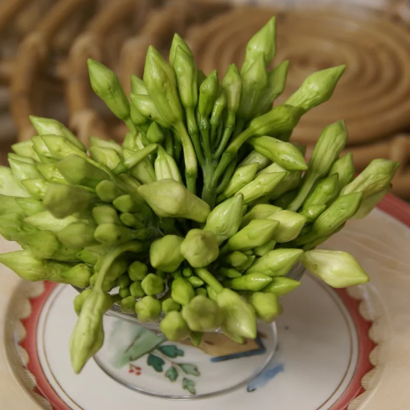 Loroco Flower in Brine (Jar)