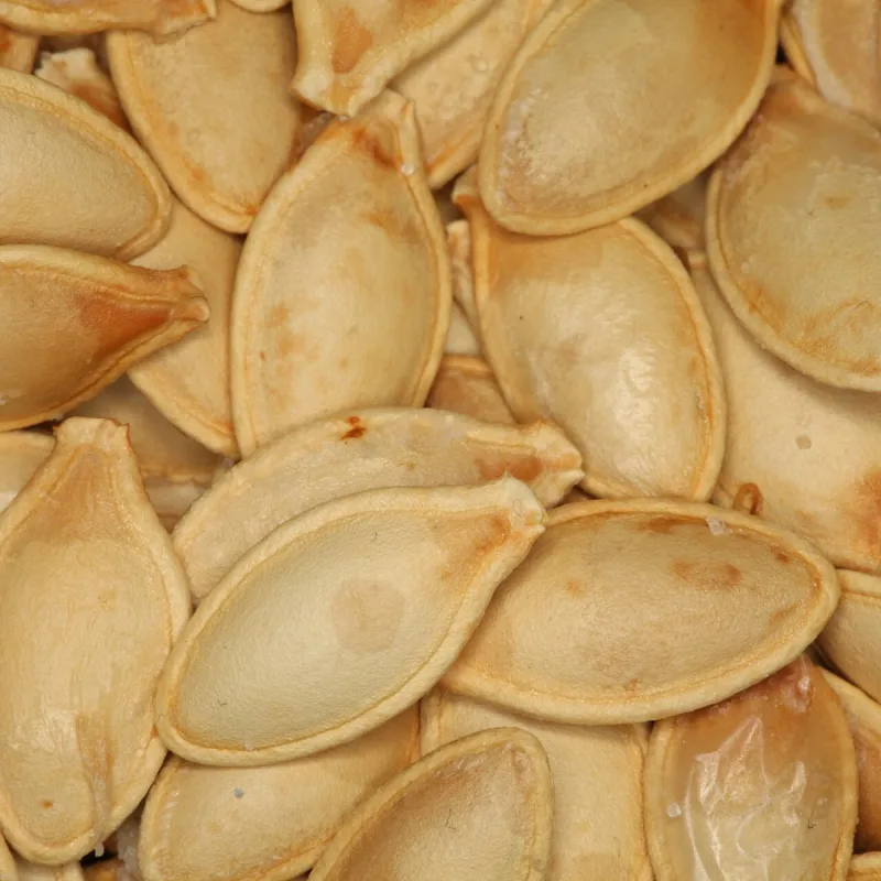 Pepitoria (semilla de ayote)