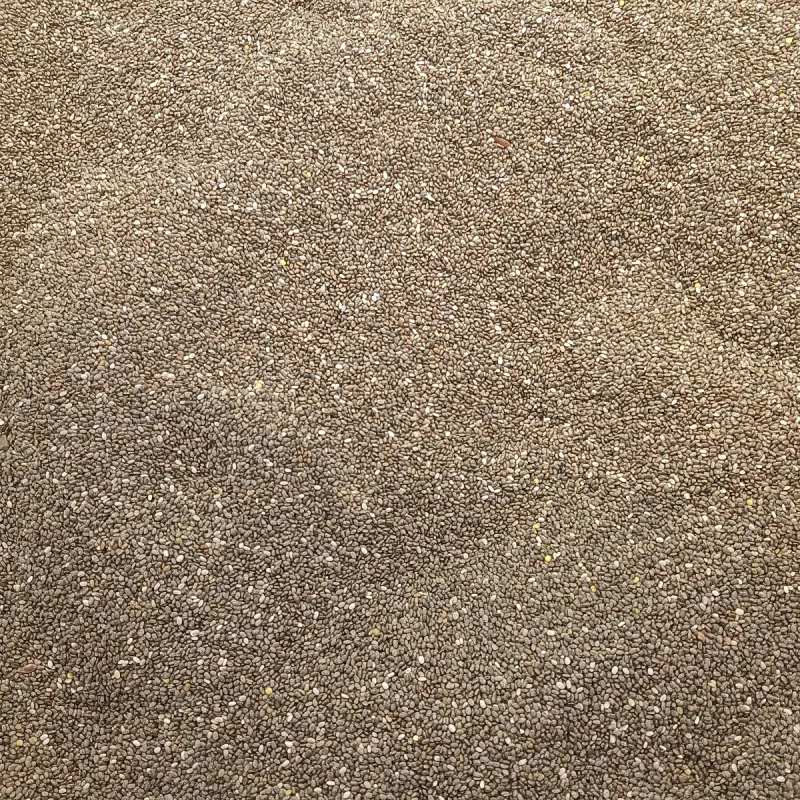 Chan Seeds (Chia)