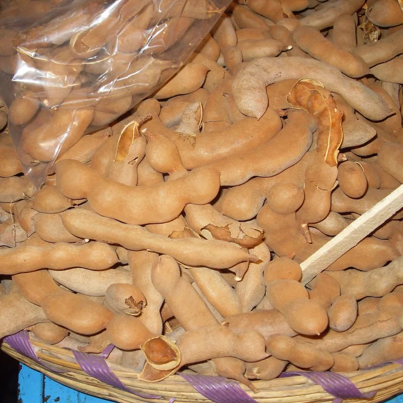Tamarindo para fresco